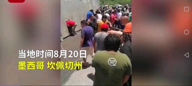 运猪车侧翻20吨活猪遭村民疯抢 现场非常混乱