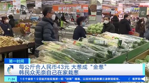 韩国大葱涨至43元一公斤 同比猛增3倍多