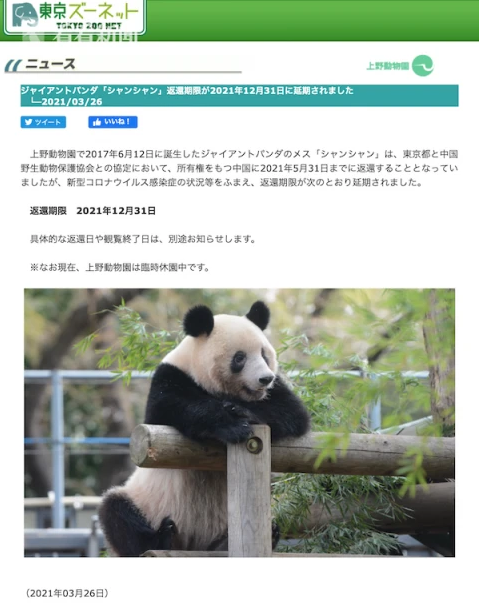 大熊猫香香回国日期延迟至年底 因为疫情？