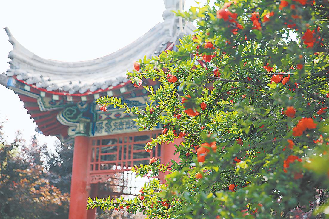 开封市环城墙公园：叶绿花红风景美如画
