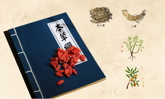 上药九旭尚医树新品来袭，纳乳艾叶汁液态饮引爆市场！