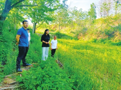 石林镇三家村人张桂芳 “娃娃村长”给村里变了个样