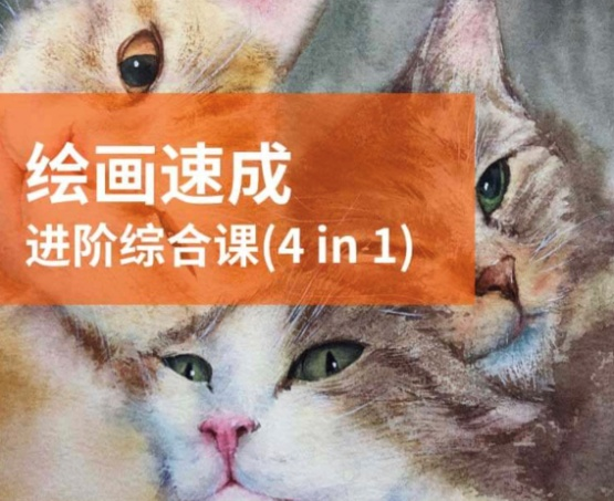 大鹏教育怎么样？坚持画画一年以后整个人变了
