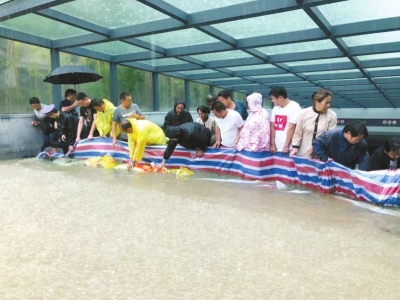 他们在水中筑起“人墙” 将洪水挡住保全小区车辆