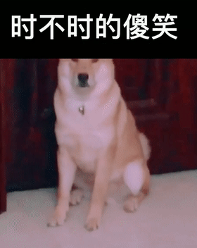 柴犬初七事件始末被狗販當(dāng)街搶走 柴犬初七照片令人心痛不已