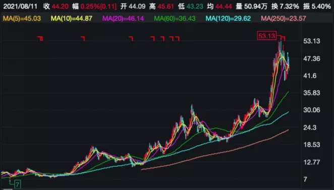 一批牛散为A股带来了传奇故事 张勇一只股浮盈25亿