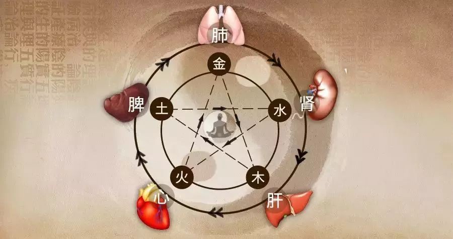 香庭世家，世界乳腺理療先驅(qū)，從醫(yī)學(xué)科技到乳房養(yǎng)生
