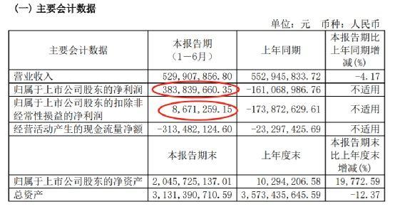 贵人鸟逆袭了 大赚3.8亿扭亏为盈