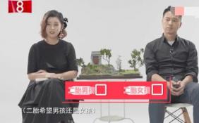 夫妻倆出鏡大秀恩愛 金太狼”王雷即將再當爸！
