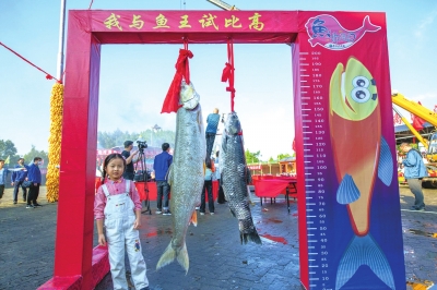 重102斤长1.75米的“鱼王” 小编竟然还没有一条鱼高