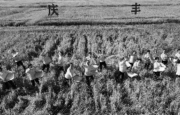 中国农民丰收节“塞上江南”庆丰收