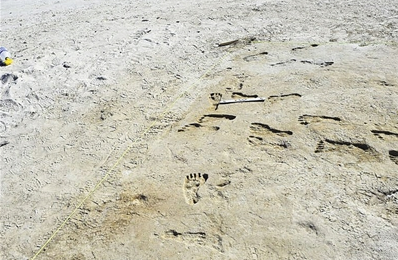北美最早人类脚印距今约2.3万年 比此前认定更早