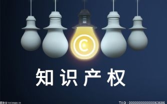 我国知识产权发展迅速 具备向知识产权强国迈进基础