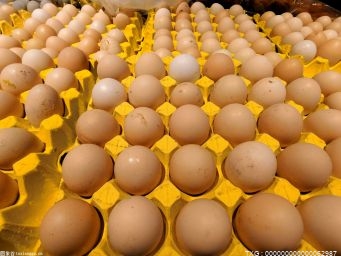 鸡蛋价格为什么一直上涨？主产区本周收购均价4.35元/斤