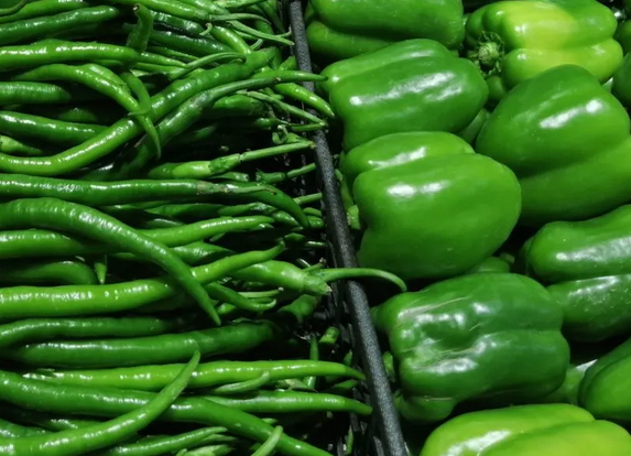 10月全国蔬菜价格环比上涨16% 黄瓜环比上涨79.5%