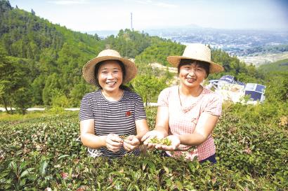 农村投资哪些项目有前景？农家肥加工运输