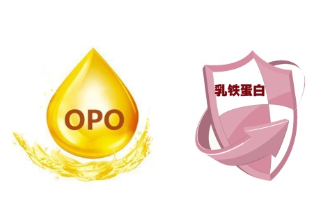 乳铁蛋白和opo哪个重要？宝宝喝哪个牌子奶粉好？