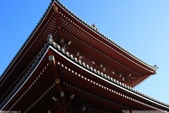 酷派將舉辦“一派新機(jī)”新品發(fā)布會 將帶來COOL 20 Pro新機(jī)