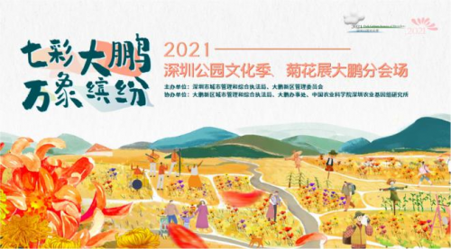 云端分会场今日上线，2021深圳公园文化季菊花展大鹏分会场精彩纷呈