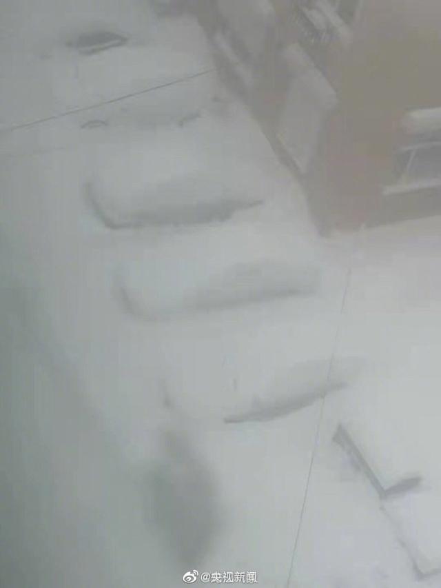 黑龙江暴雪 佳木斯市出动了1400多台专业清雪车辆