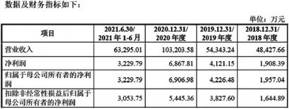 营收与净利不匹配 华泰永创业绩或触天花板