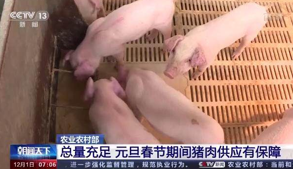 猪肉价格连涨7周 生猪养殖总体告别亏损