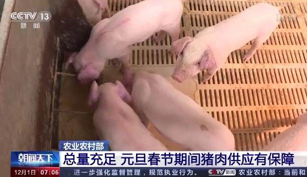 杭州市：本周猪肉供应量增加 批发价和零售价略涨