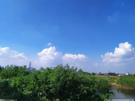 北京2025年基本消除重污染天气 重点领域“低碳”布局