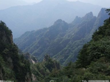 “千杯不醉”的解酒“神藥”能信嗎？ 怎么才算是解了酒?