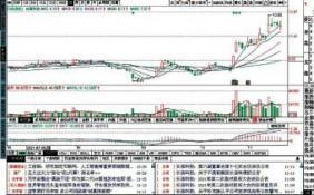 物產(chǎn)環(huán)能今日上市 公司證券代碼為603071