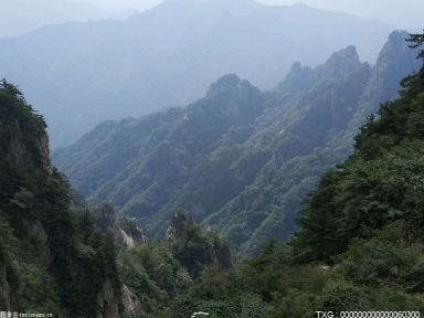 重庆今年森林覆盖率达54.5% 连续四年高速增长
