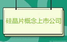 硅晶片概念上市公司有哪些？沪硅产业总市值多少？