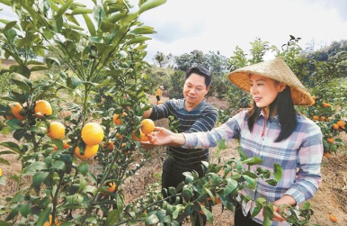 深圳对口帮扶汕尾 保护开发并重成就美丽乡村