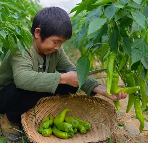 “康仔农人”：不带货 老小孩的清醒打了多少人的脸