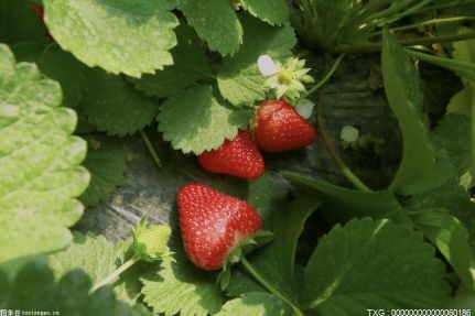 菜鸟驿站春节超10万人值守 将为一线人员投入超3亿元的激励补贴