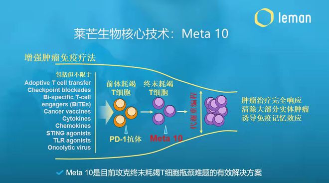 莱芒生物获近亿元天使轮融资 由天图投资领投