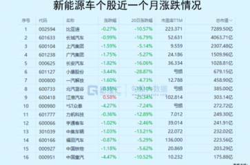 新能源车盛景下的隐忧 成功的永远只会是少数