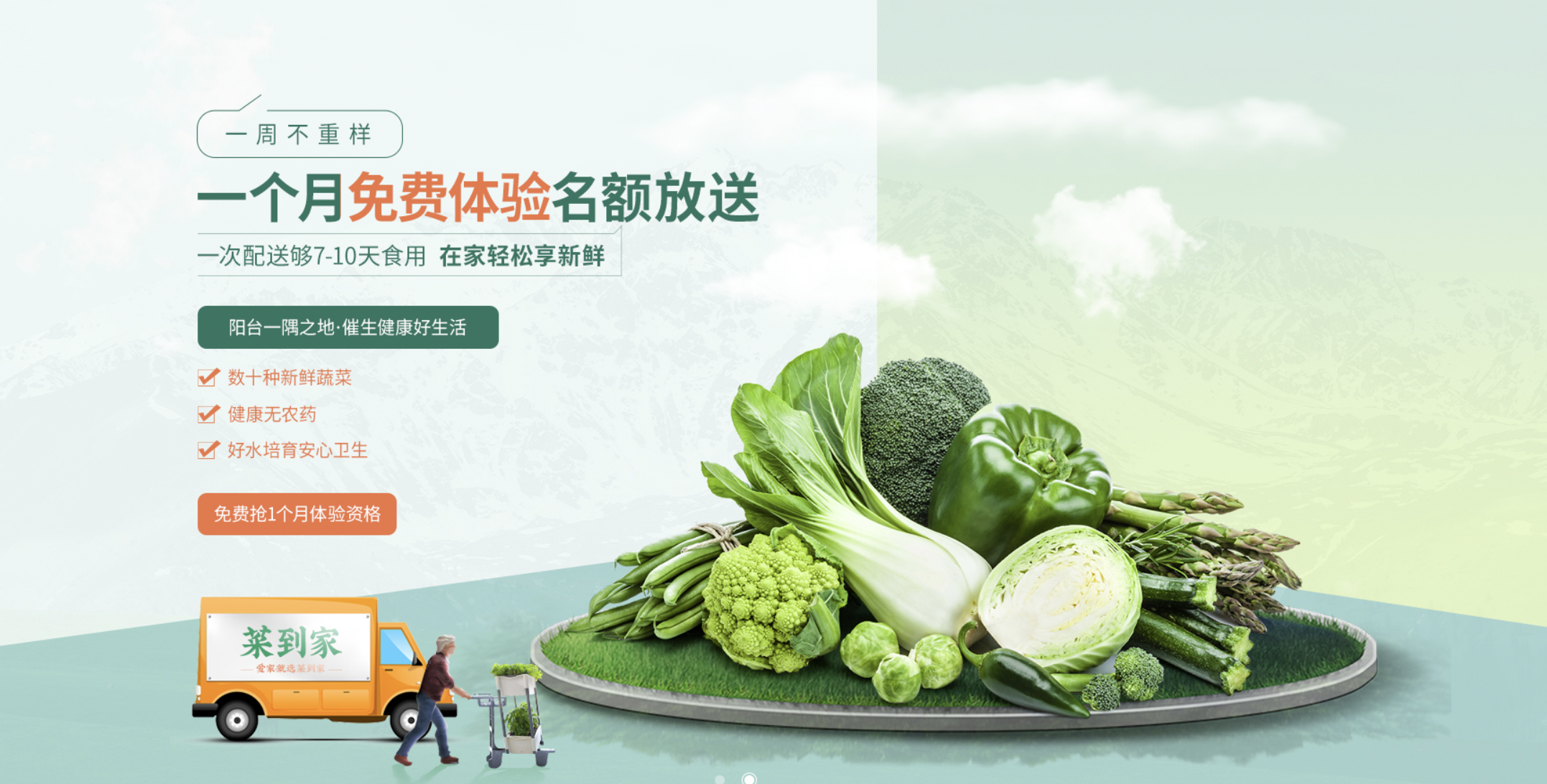 菜到家打造菜园理念 将健康绿色安全送进千家万户
