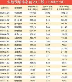 化工有色成最亮“双子星” 和邦生物比去年多赚30亿