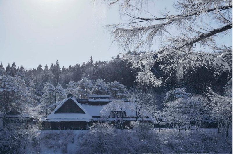 乘上雪国列车，前往纯净的冬日青森