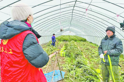 义乌市农业农村局指导农业生产防寒防冻 服务企业62家