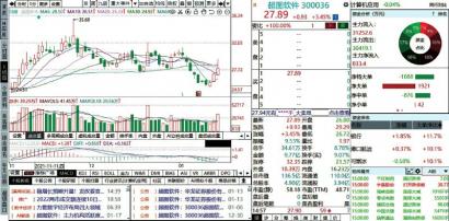 基金爆仓会亏本金吗？系统会强制平仓吗？