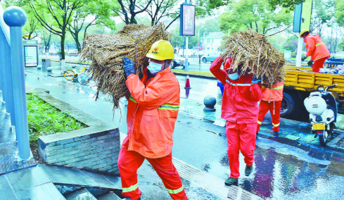 义乌市政设施处：备足物资 迎战冰雪