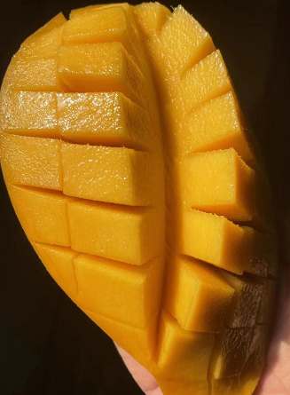 孕妇可以吃芒果干吗？芒果含有丰富的维生素、蛋白质