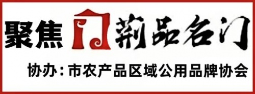 專家名人、“荊品名門”相約油菜花節