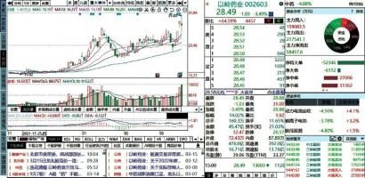 阿里巴巴最壕回购推升股价 盘中一度大涨超过12%