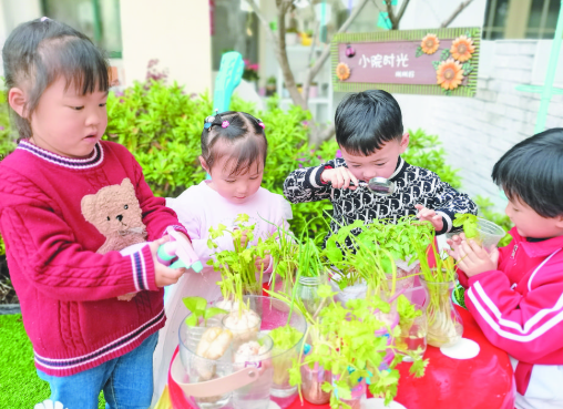 国贸幼儿园：“水培植物我知道”小水培 大课堂