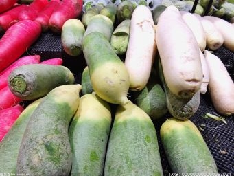优质萝卜身价倍增 南华县五街镇种植萝卜近3.5万亩