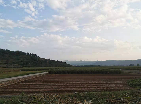 云南省已播种秋粮516.9万亩 农药产品生产和销售正常
