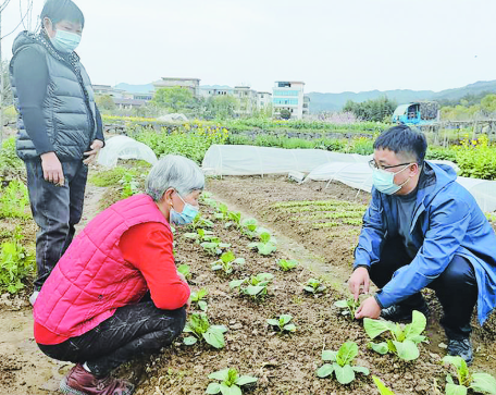 廿三里供销“学雷锋”助农服务分队：农技服务送田间